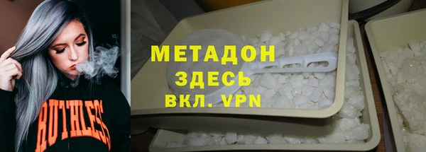 прущие грибы Алзамай