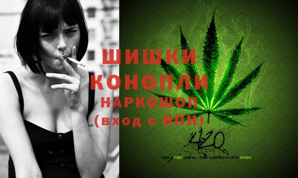гашик Алексеевка