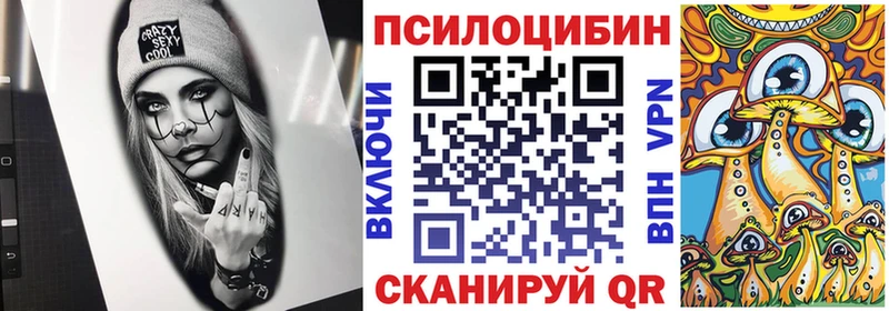 Псилоцибиновые грибы мухоморы  наркота  Петров Вал 